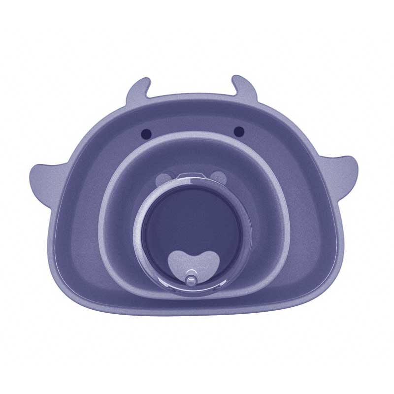 Perfect Portion Control Bowls for Tiny Eaters 1