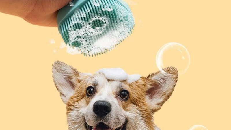 cepillo de silicona para mascotas