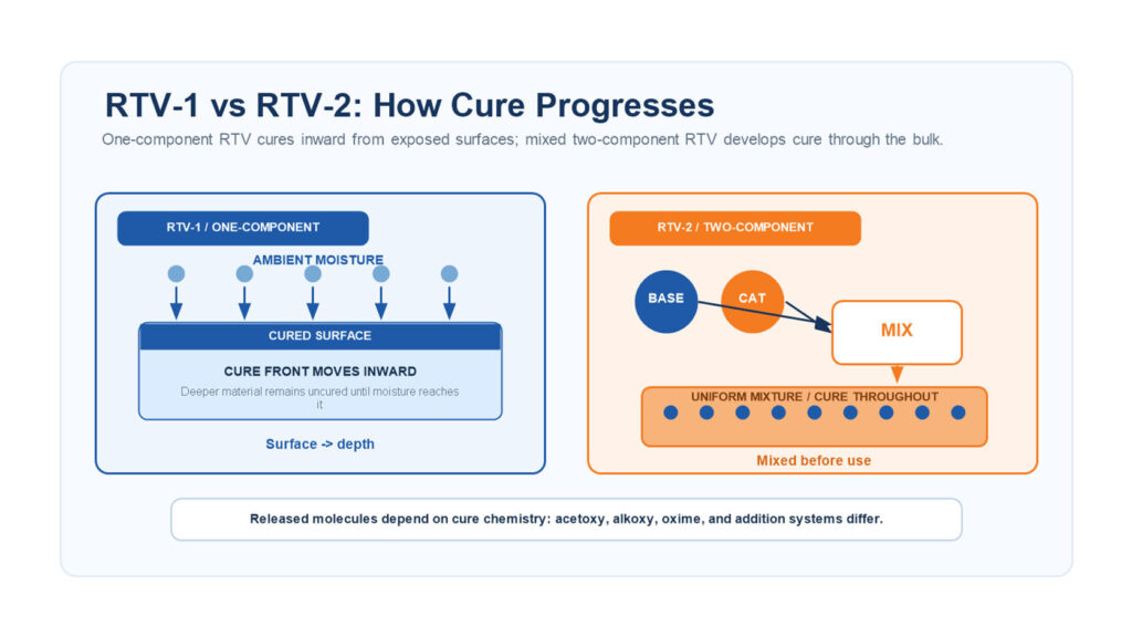 02 rtv1 rtv2 механизм лечения
