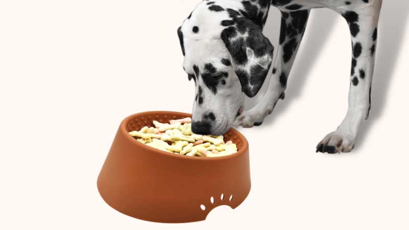 وعاء سيليكون للكلاب 5