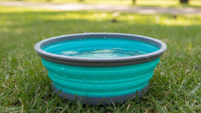 Silikon-Haustiernapf