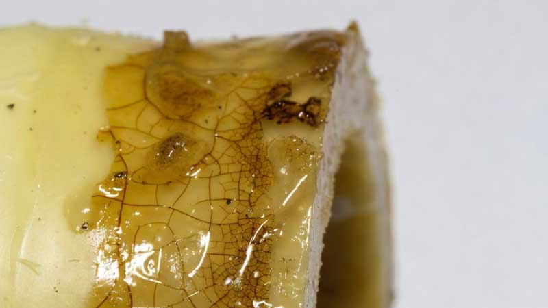 sezione del tubo flessibile in silicone per autoveicoli