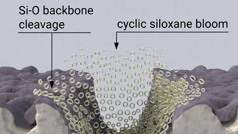 depolimerizzazione del morso posteriore in silicone